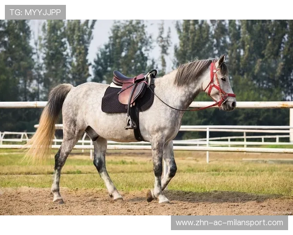 乌兰训练中多次展现强大耐力